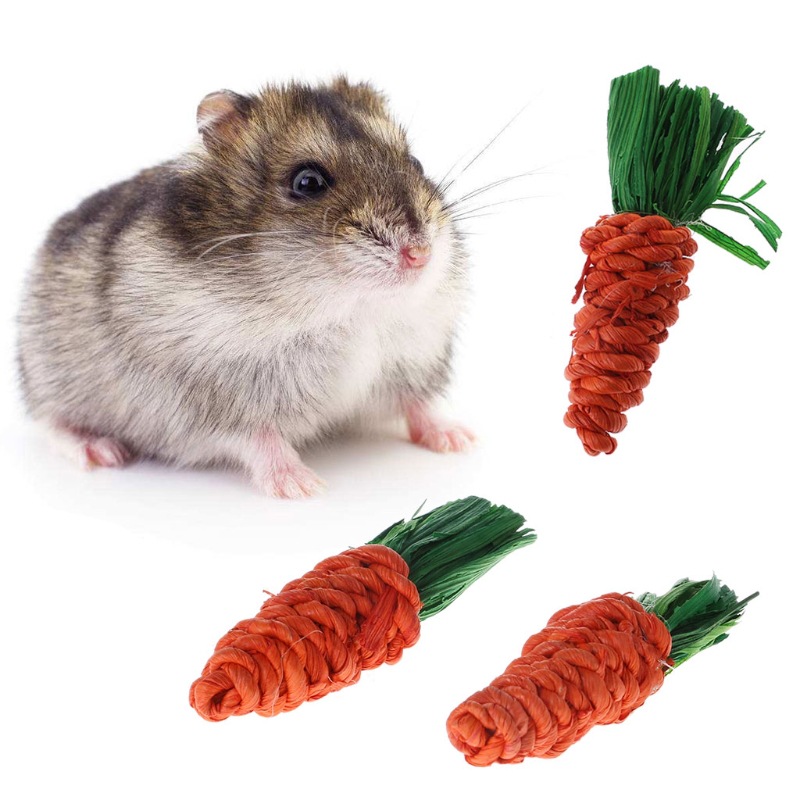 Hamster rabbit Chinchilla molars toy molars carrot parrot bite molars grass radish