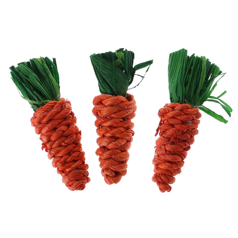 Hamster rabbit Chinchilla molars toy molars carrot parrot bite molars grass radish
