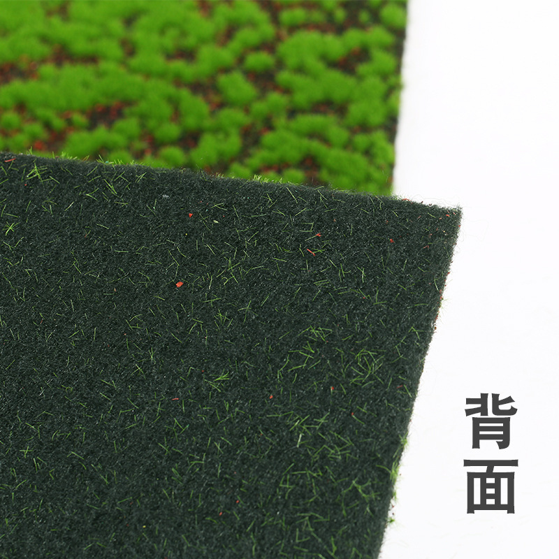 コケの植物の壁の店舗のショーウインドーをシミュレーションします。|undefined