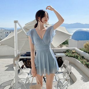 South Korea Dongdaemun Goddess Swimsuit Women's Conservative Skirt One-piece Belly-covering Slimming Small Chest Steel Bracket Foreign Trade Holiday Swimsuit