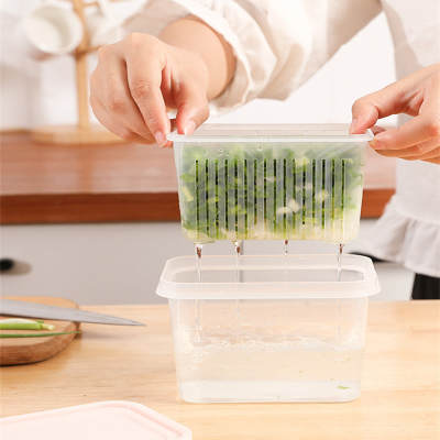 New Double-layer Draining Scallion Fresh-keeping Box Refrigerator Storage Box Household Kitchen Vegetable and Fruit Draining Basket