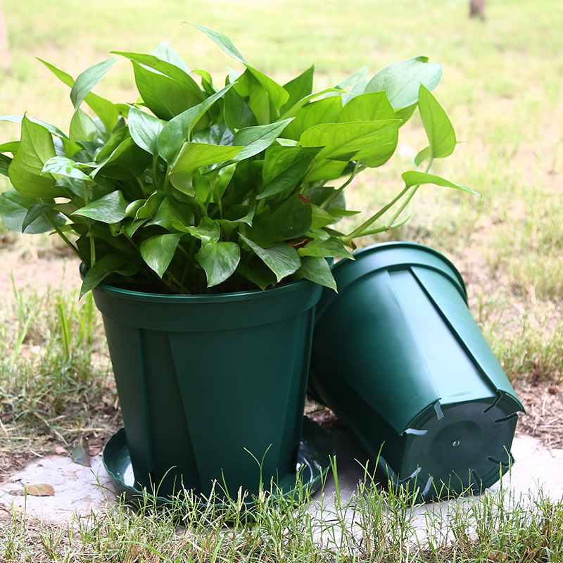 肥厚白緑山プラスチック植木鉢丸型制御根ポットバラ緑大根植物|undefined