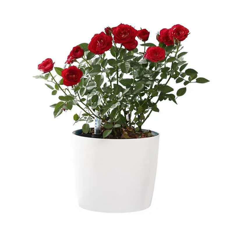 Lazy round plastic flower pot creative water level flower pot indoor and outdoor flower pot automatic water absorption green plant flower pot