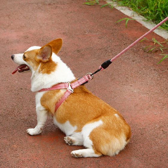 Foam Dog Rope Dog Leash Pet Supplies Pet Chest Strap Dog Chain Explosion-proof Chest Back Linen Strap