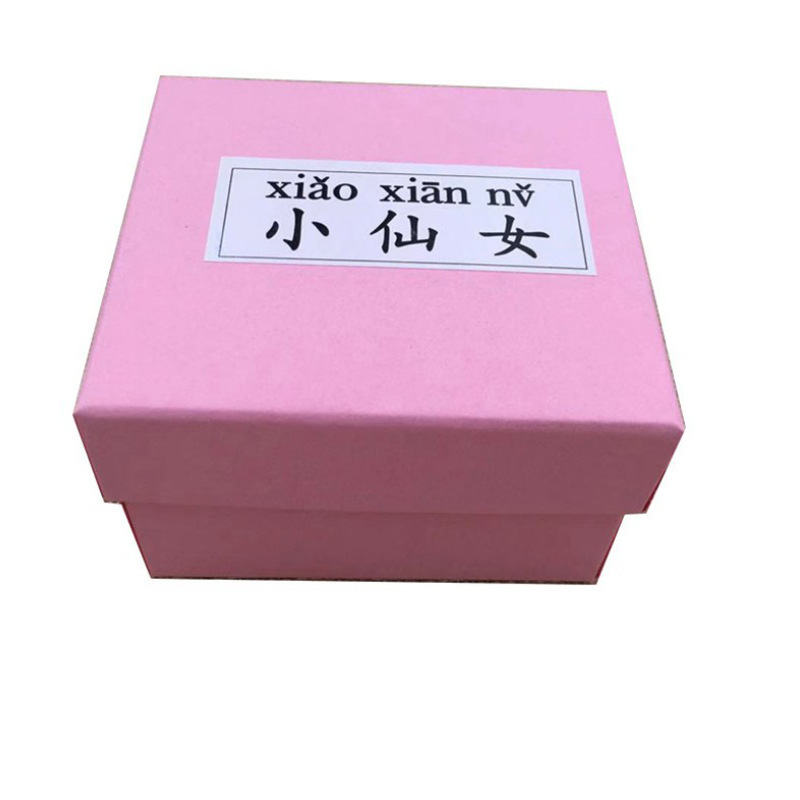 Jewelry Box Jewelry Box Ring Ear Nail Box Watch Box Pink Fairy Korean Fashion Jewelry Box Factory Outlet