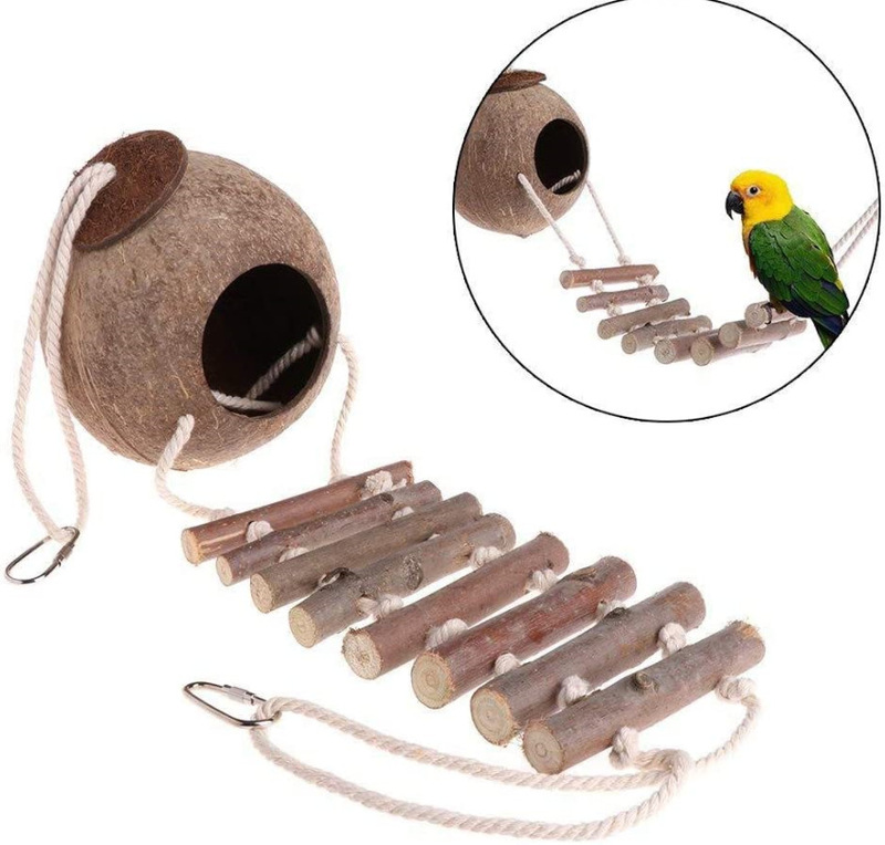 ココナッツの殻の鳥の巣アマゾンの爆発物のオウムはおもちゃの鳥のおもちゃのebabyの爆発物をかじります。|undefined