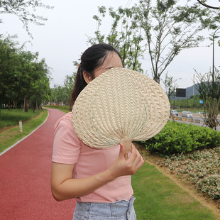 Fan Big Pu Fan Jigong Banana Fan Rice Leaf Old Man Hand-cranked Old-fashioned Hand-painted Sunflower Leaf Barbecue Fan