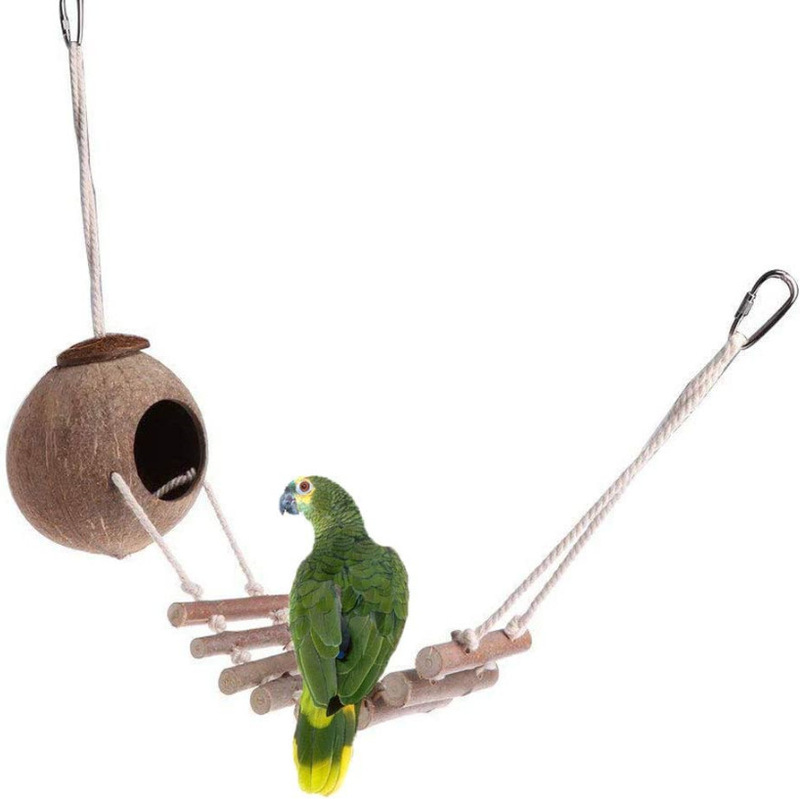 ココナッツの殻の鳥の巣アマゾンの爆発物のオウムはおもちゃの鳥のおもちゃのebabyの爆発物をかじります。|undefined