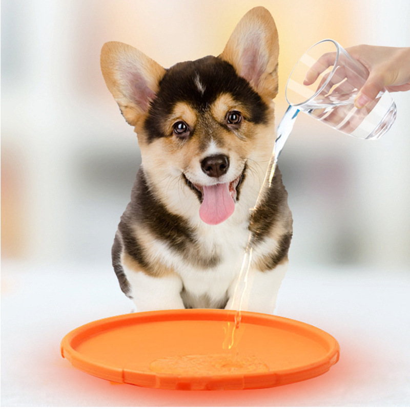 Amazon Explosions Pet Dog Frisbee Outdoor Throwing Training Tooth Resistant Molar Toy Multifunctional Milk Flavor Toy