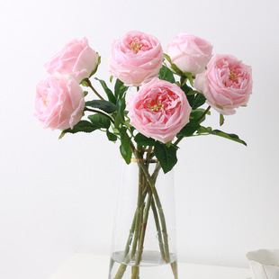 Hand-feel moisturizing rose ins wind simulation bouquet photo props curling tea rose Austin rose simulation flower