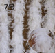 No.7 80g White Fire Feather strip 2 M/strip