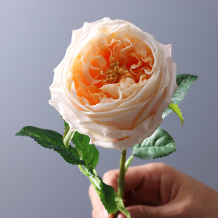 Artificial Flower Wet Sense Advanced Austin Rose Wedding Decoration Flower Photo Props Dining Table Ornaments Live Hot