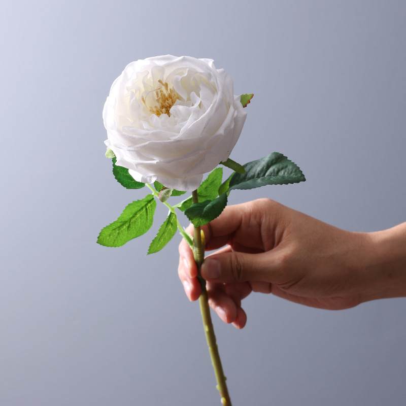 仿真花湿感高级奥斯汀玫瑰花婚庆装饰花拍照道具餐桌摆件直播热款