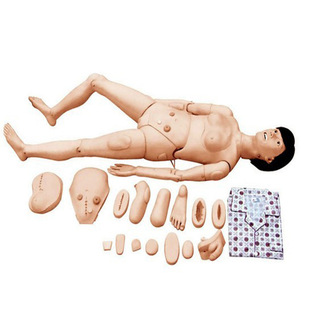 Supply Advanced Full Function Nursing Training Simulator (Female) Nursing Training Model Human Body Model