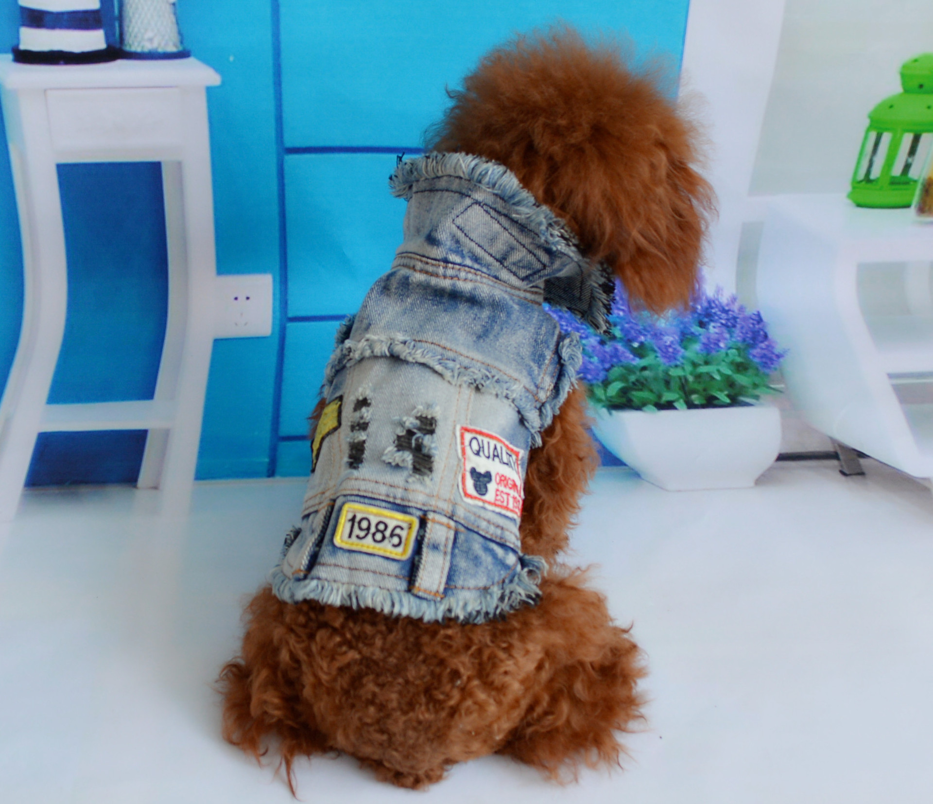2018 Bei pet manufacturers new super cool denim vest pet clothes spring and summer than Bear teddy dog clothes