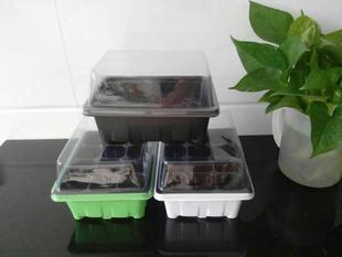 Gardening supplies 6-hole 12-hole nursery box nursery tray family nursery box three-piece set