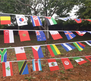Factory direct 100 countries string flags Brazil World Cup flag New shelves national flags can be customized