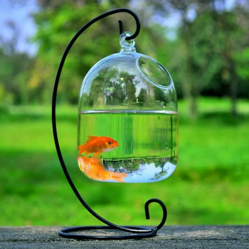 Creative hanging glass vase fish tank transparent glass handmade fish tank home decoration ornaments