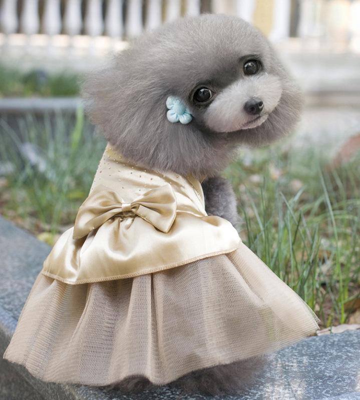 新しいペットの服の犬のスカートの子供の猫の春夏の項のテディの小さい王女の蓬のスカートの項のテディの服|undefined