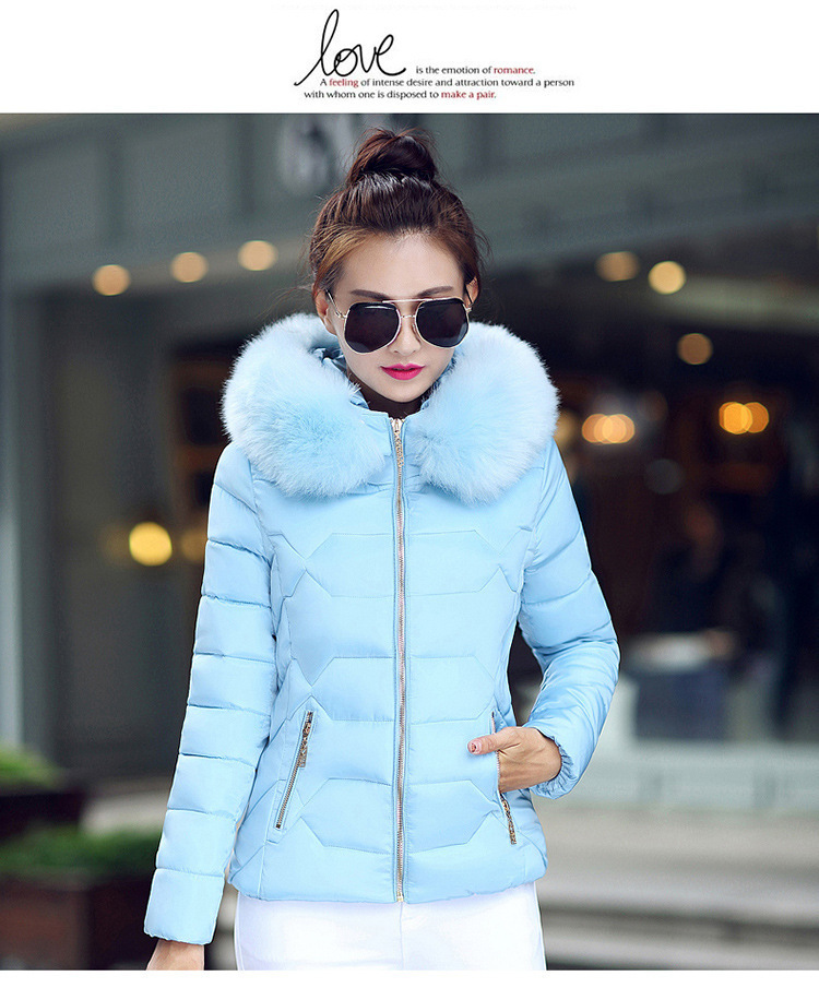 2022 Herbst und Winter Neue Mode kurze baumwollgefütterte Jacke Damen kleine baumwollgefütterte Jacke großer Kapuzenmantel warme baumwollgefütterte Jacke Tatsache_voghion.com
