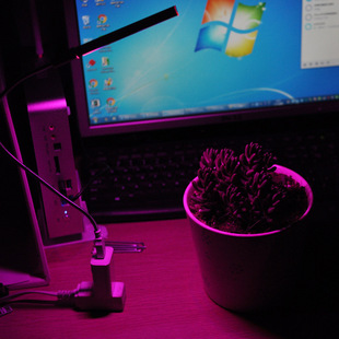 USB led plant lamp growth lamp indoor sunlight fill light flower potted lamp fleshy table lamp easy lamp