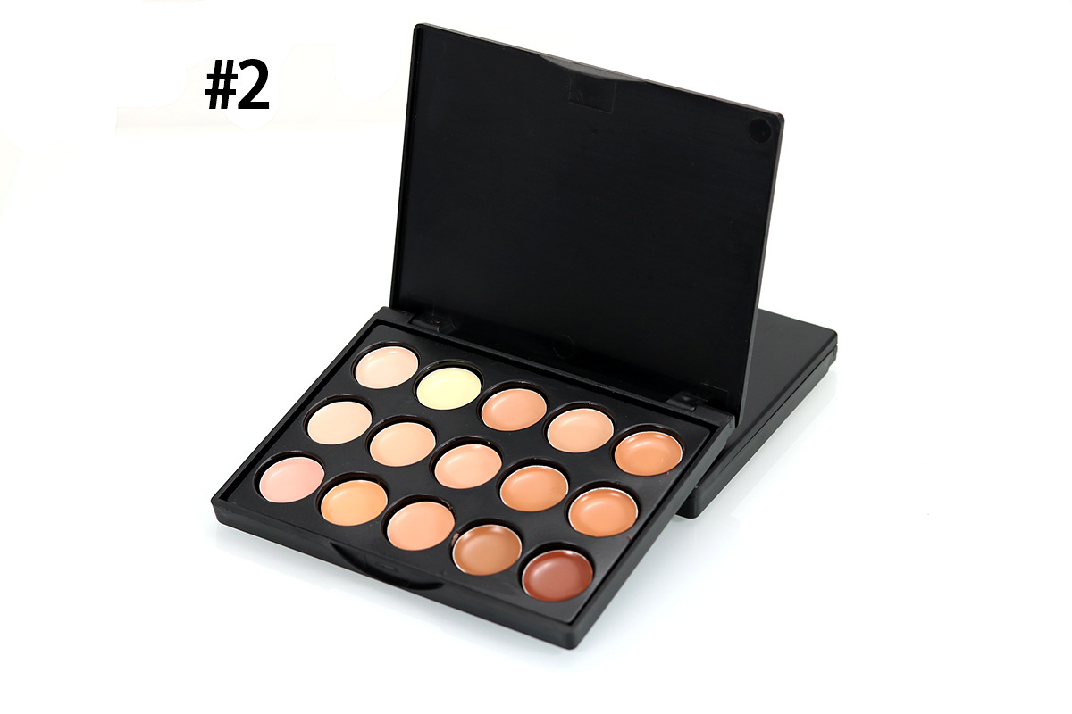 POPFEEL 15 color concealer sample concealer makeup plate P15