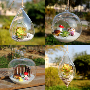 Fleshy glass flowerpot fleshy plant glass bottle transparent fleshy vase creative hanging hanging bottle micro landscape bottle