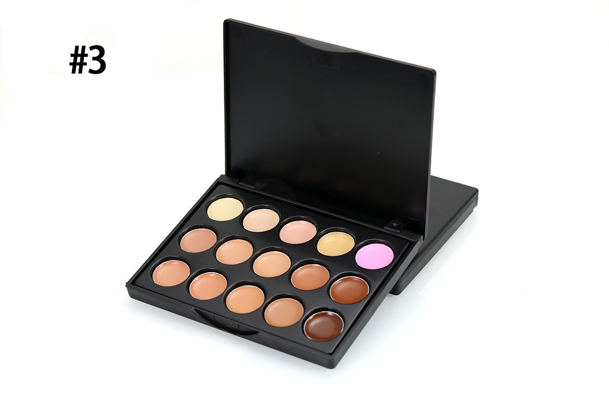 POPFEEL 15 color concealer sample concealer makeup plate P15
