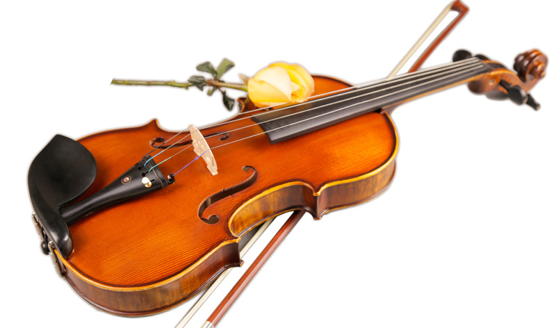 Psychic matte pattern violin handmade Brazilian wooden bow ebony accessories German violin