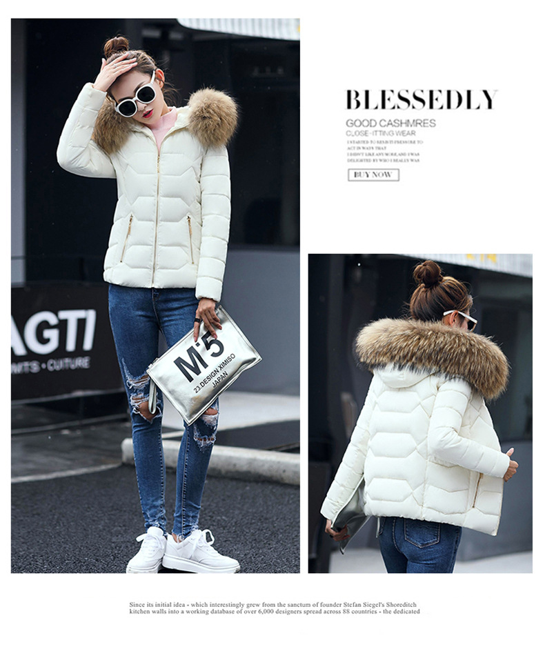 2022 Herbst und Winter Neue Mode kurze baumwollgefütterte Jacke Damen kleine baumwollgefütterte Jacke großer Kapuzenmantel warme baumwollgefütterte Jacke Tatsache_voghion.com