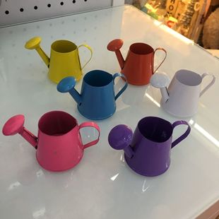 Color mini ultra-small watering kettle iron flower household decorative keg spot supply