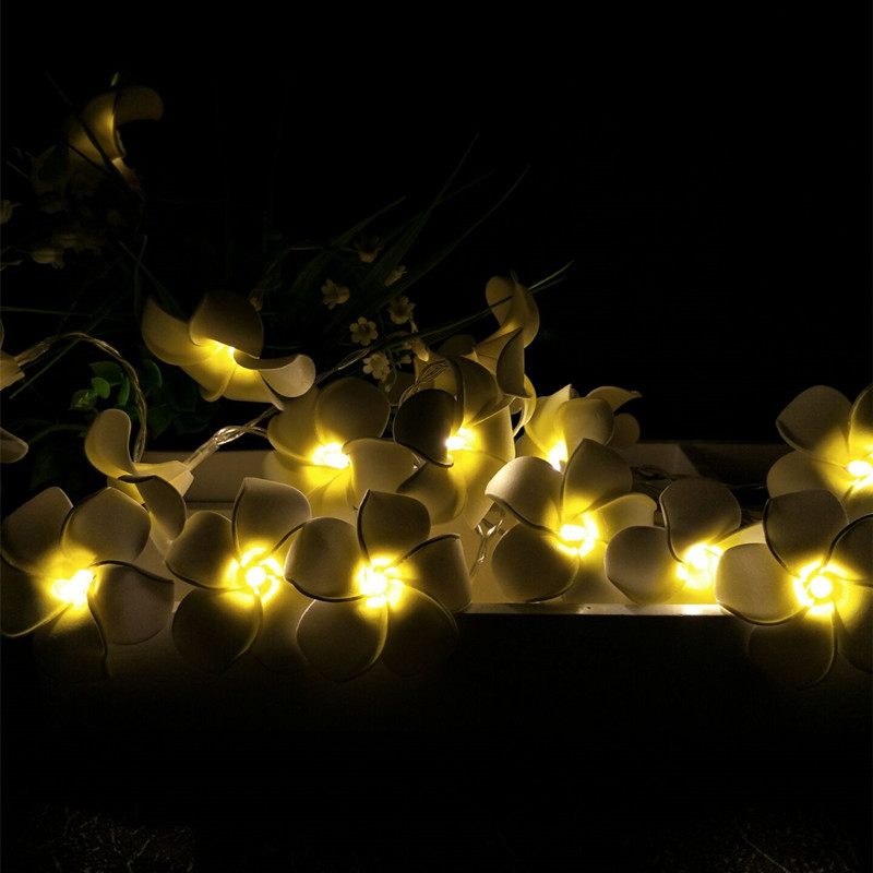 Amazon hot foreign trade 20 LED simulation egg flower lamp String led battery box decorative lights direct sales