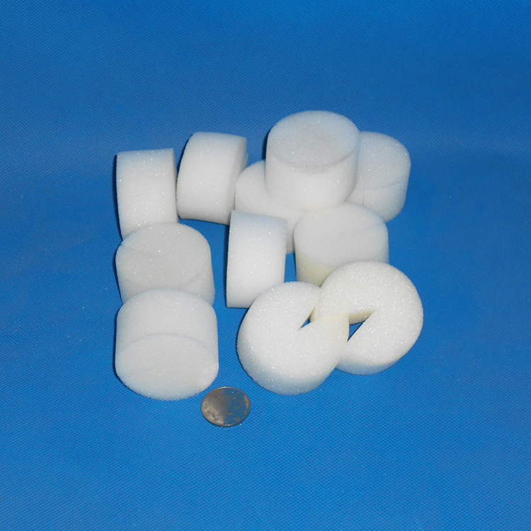 No. 50 soilless cultivation vegetable equipment hydroponic cultivation Mianyang Taiwan vegetable fixed sponge