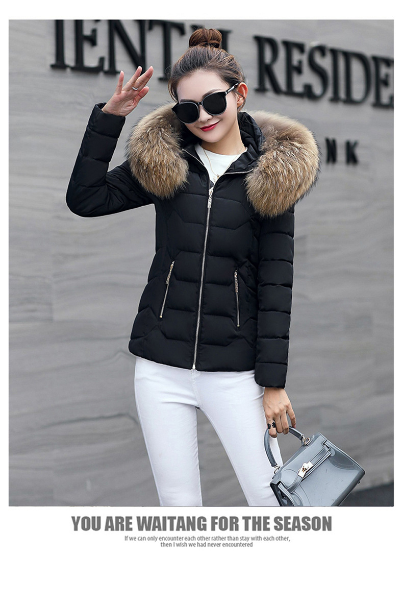 2022 Herbst und Winter Neue Mode kurze baumwollgefütterte Jacke Damen kleine baumwollgefütterte Jacke großer Kapuzenmantel warme baumwollgefütterte Jacke Tatsache_voghion.com