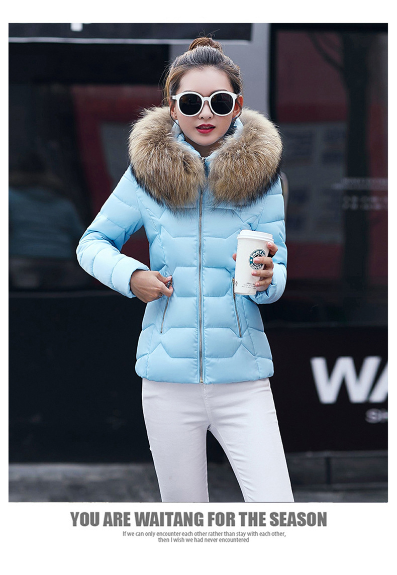 2022 Herbst und Winter Neue Mode kurze baumwollgefütterte Jacke Damen kleine baumwollgefütterte Jacke großer Kapuzenmantel warme baumwollgefütterte Jacke Tatsache_voghion.com