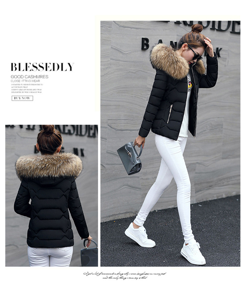 2022 Herbst und Winter Neue Mode kurze baumwollgefütterte Jacke Damen kleine baumwollgefütterte Jacke großer Kapuzenmantel warme baumwollgefütterte Jacke Tatsache_voghion.com