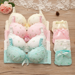 Lace no steel ring girl bra set adjustment gathered sexy girl student underwear wholesale a generation of hair