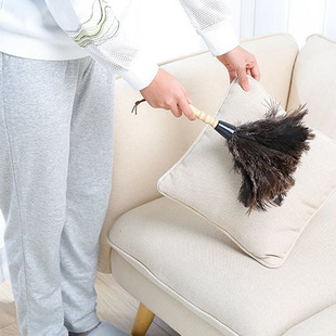 Solid Wood Handle Feather Duster Ostrich Feather Duster Small Dust Duster Household Dust Brush