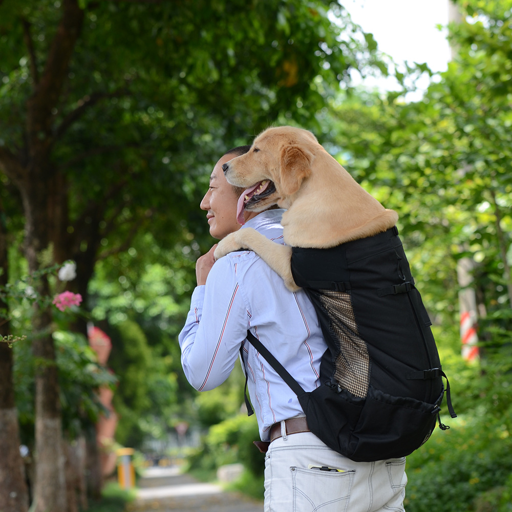 Pet Traveler Backpack Dog Outcrop Bag Ventilated and Breathable Washable Bicycle Outdoor Shopping Backpack