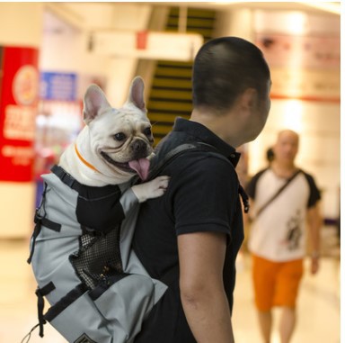 Pet Traveler Backpack Dog Outcrop Bag Ventilated and Breathable Washable Bicycle Outdoor Shopping Backpack