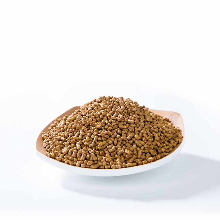 Qiongchi buckwheat tea bulk wholesale Daliangshan buckwheat tea factory wholesale buckwheat tea yellow buckwheat granulation tea