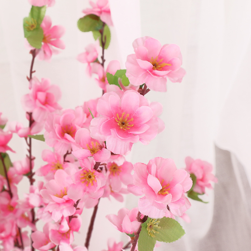 桃の花の枝に似ています。梅の花に似ています。|undefined