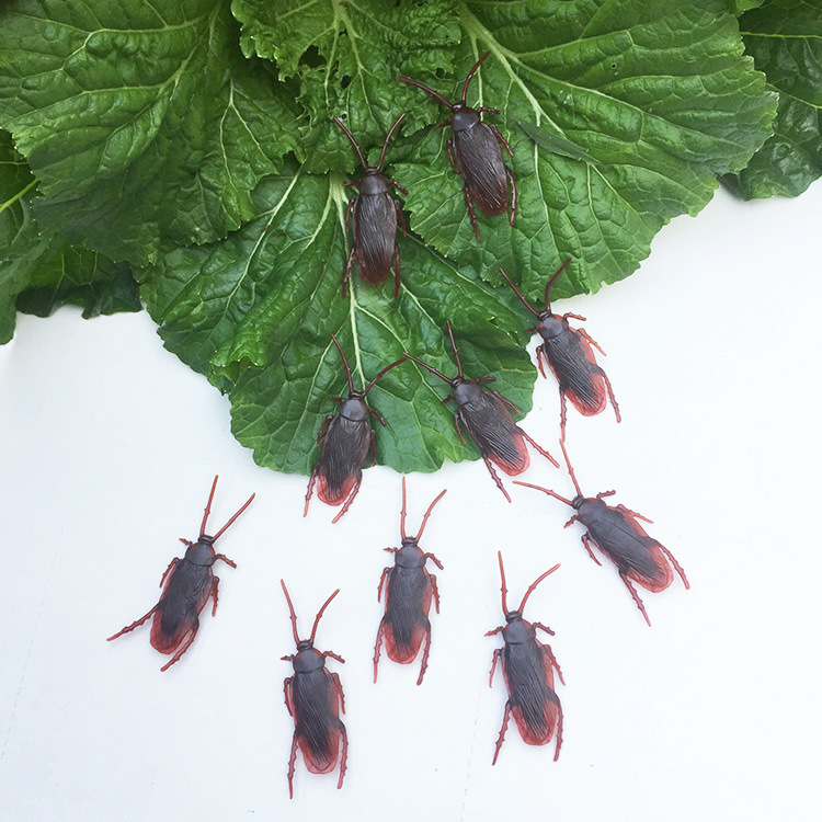 Plastic simulation cockroaches Halloween April Fool's Day trick small toy accessories 5 styles simulation Xiaoqiang fake cockroaches