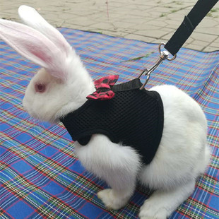 Totoro Hamster Golden Bear Mink Cat Puppy Rabbit Small Pet Traction Rope Rabbit Professional Traction Rope Chest Back