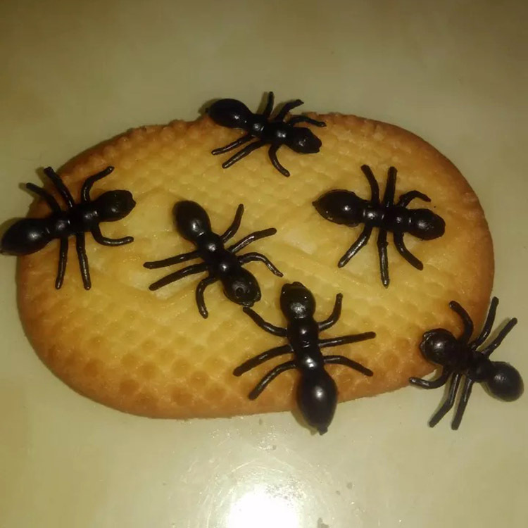 Black Ant Halloween plastic PVC Ant Small insect animal model toy simulation Ant