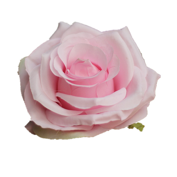 バラの花の頭のアカシアのバラをシミュレーションします。|undefined