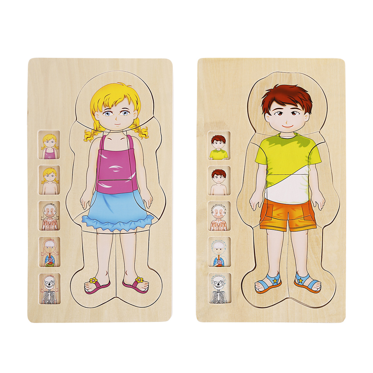 onshine Multilayer Puzzle Boys' and Girls' Human Body Structure Children's Intelligence Wooden Play Early Education Benefit Toys