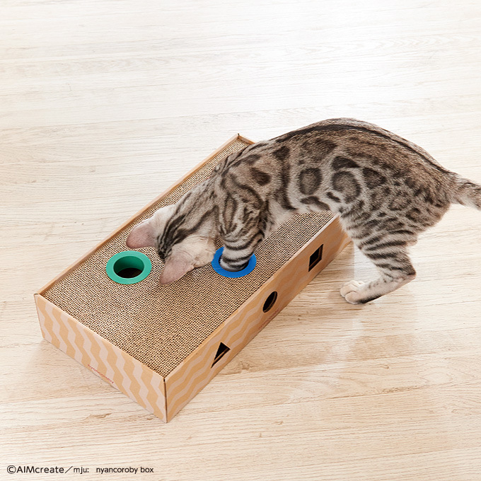 Cat World Mju Cat Scratch Board Bell Hole Box Sound Puzzle Fun Toy Grinding Claw
