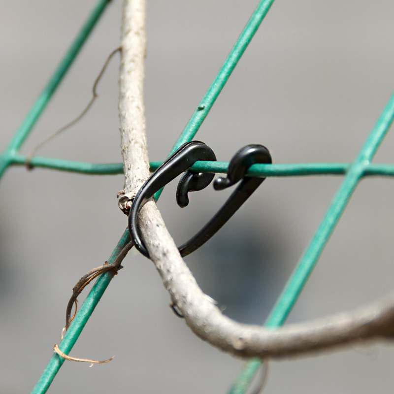 Grape kiwi fruit binding branch clip binding branch device binding branch silk plastic binding Vine clip anti-aging