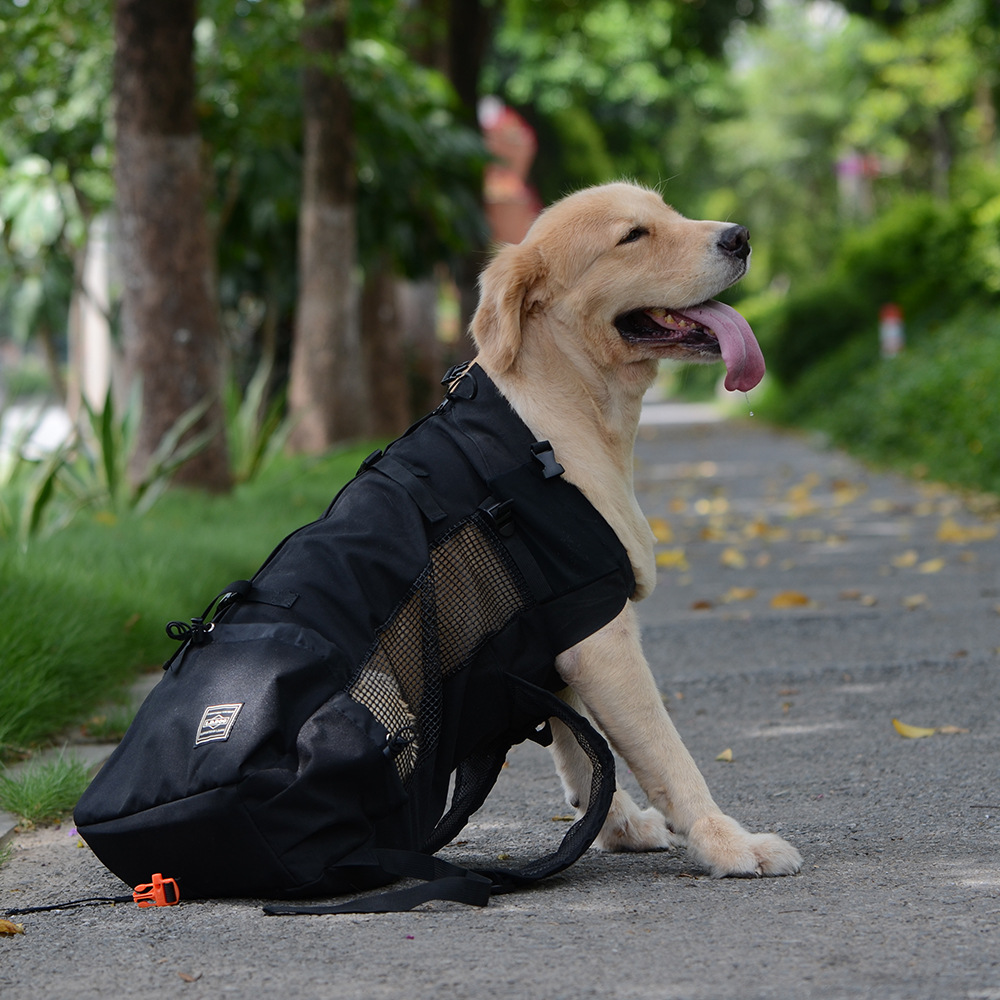 Pet Traveler Backpack Dog Outcrop Bag Ventilated and Breathable Washable Bicycle Outdoor Shopping Backpack